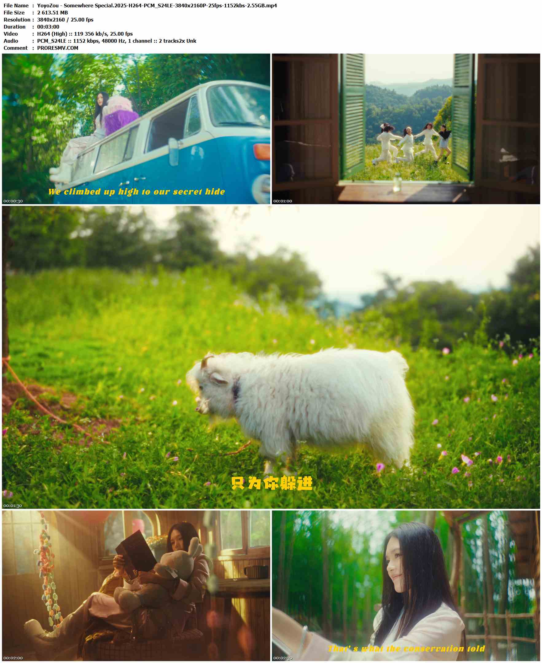 邹可 YoyoZou - Somewhere Special.2025-H264-PCM_S24LE-3840x2160P-25fps-1152kbs-2.55GB官方MV_高清MV